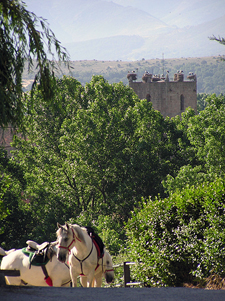 Spain-Central Spain-Kingdom of Castile Ride - across the Gredos Mountains